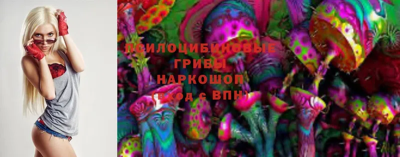 сколько стоит  Ардатов  Галлюциногенные грибы Magic Shrooms 